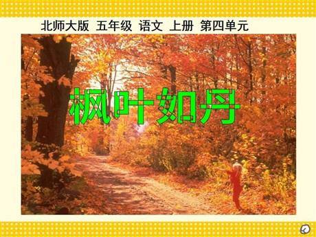 《枫叶如丹》PPT课件2