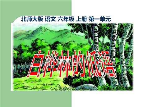 《白桦林的低语》PPT课件