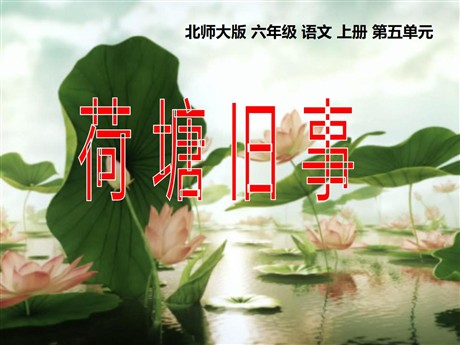 《荷塘旧事》PPT课件