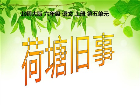 《荷塘旧事》PPT课件4