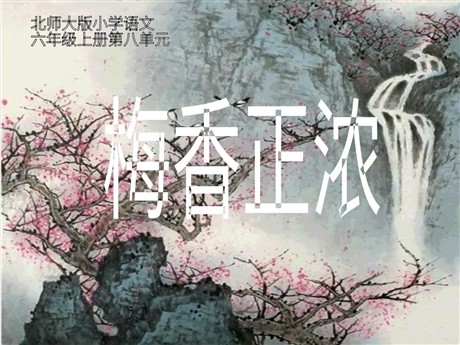 《梅香正浓》PPT课件