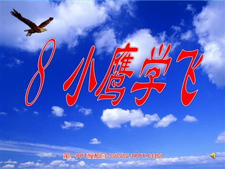 《小鹰学飞》PPT课件2