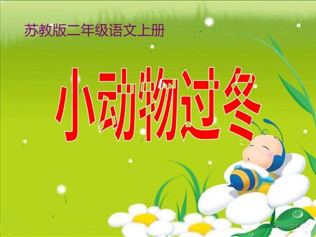 《小动物过冬》PPT课件2