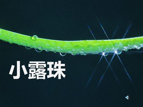 《小露珠》PPT课件
