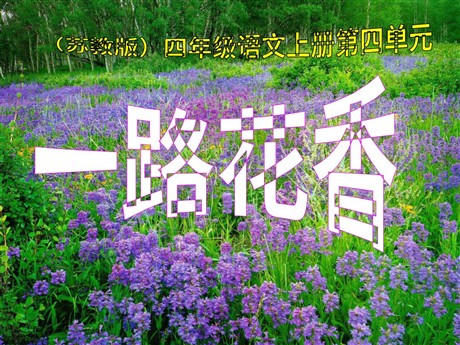 《一路花香》PPT课件2