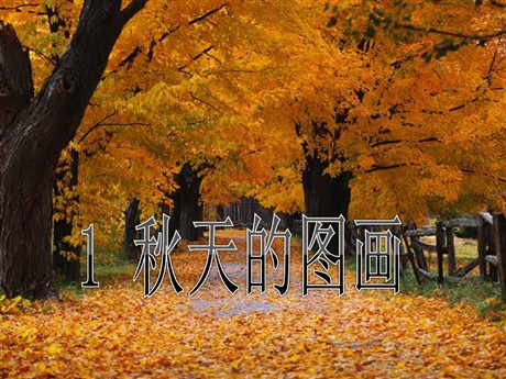 《秋天的图画》PPT教学课件下载7