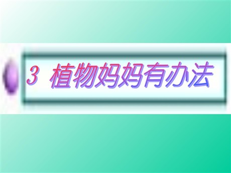 《植物妈妈有办法》PPT教学课件下载5