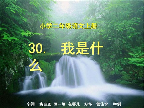《我是什么》PPT教学课件下载4