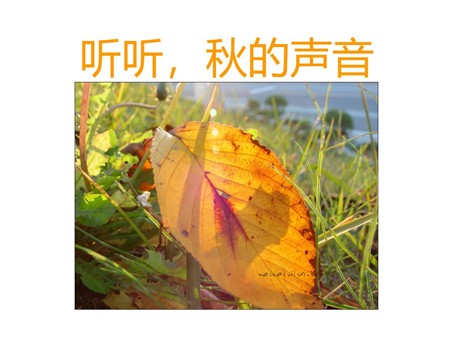 《听听，秋的声音》PPT教学课件下载5