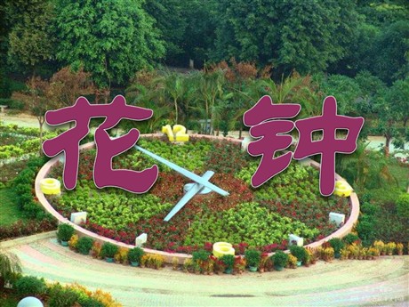 《花钟》PPT教学课件下载3