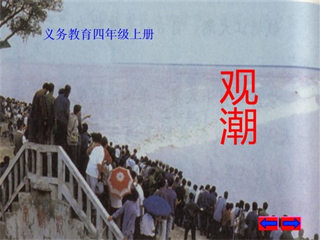《观潮》PPT课件3