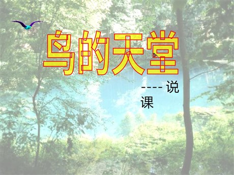 《鸟的天堂》PPT教学课件下载6