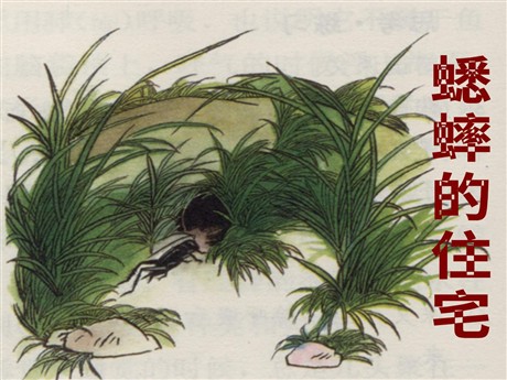 《蟋蟀的住宅》ppt教学课件下载5