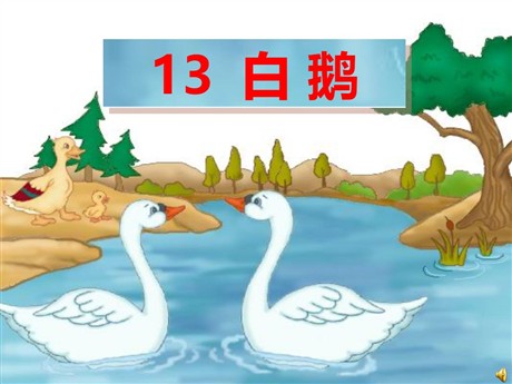 《白鹅》PPT课件下载7