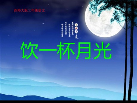 《饮一杯月光》PPT课件2