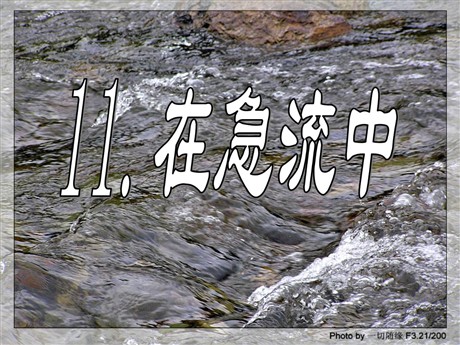 《在急流中》PPT课件2