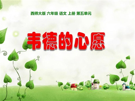 《韦德的心愿》PPT课件3