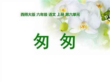 《匆匆》PPT课件