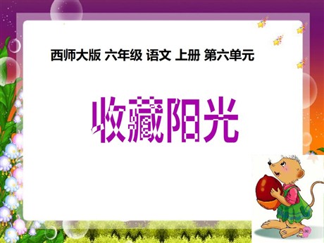 《收藏阳光》PPT课件2