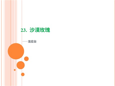 《沙漠玫瑰》PPT课件2