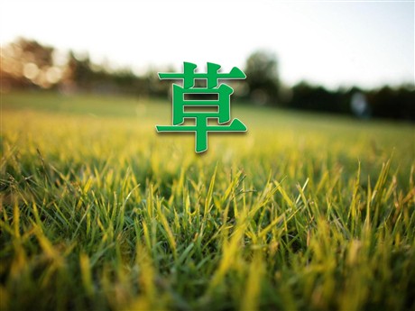 《草》PPT课件