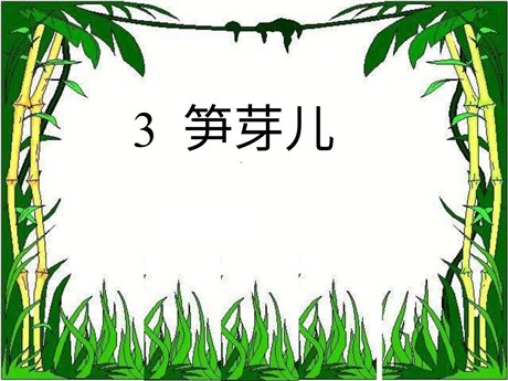 《笋芽儿》PPT课件2
