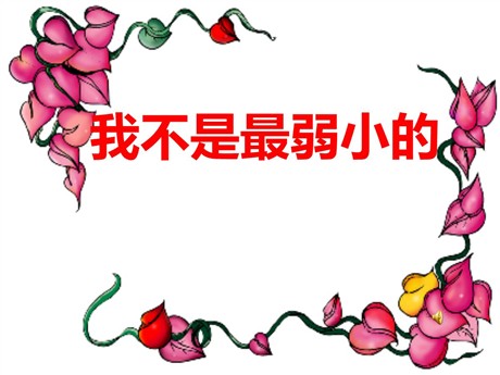 《我不是最弱小的》PPT课件5