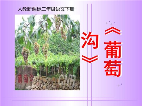 《葡萄沟》PPT课件3