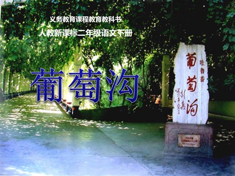 《葡萄沟》PPT课件5