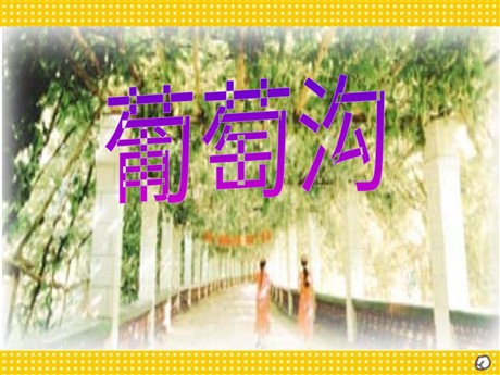 《葡萄沟》PPT课件6