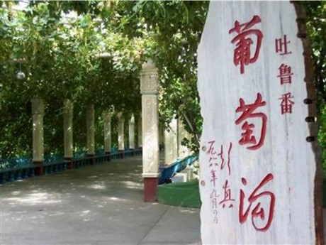 《葡萄沟》PPT课件7
