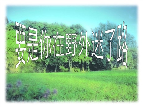 《要是你在野外迷了路》PPT课件2