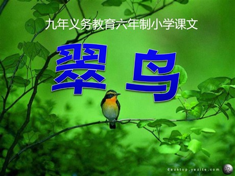 《翠鸟》PPT课件下载3