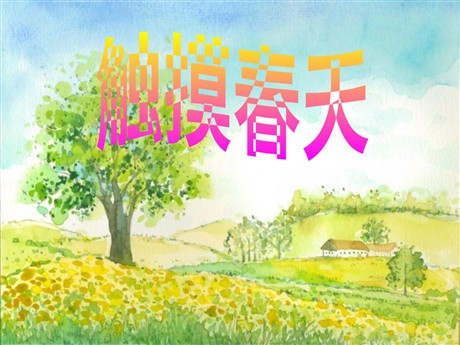 《触摸春天》PPT课件3