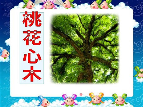 《桃花心木》PPT课件4