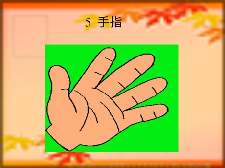 《手指》PPT课件2