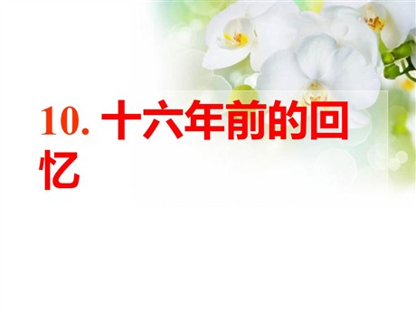 《十六年前的回忆》PPT课件5