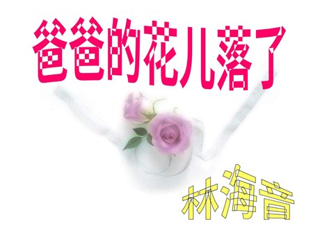 《爸爸的花儿落了》PPT课件6