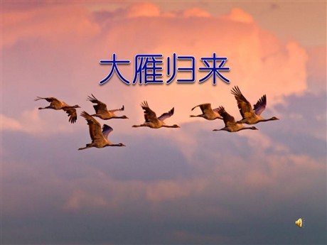 《大雁归来》PPT课件