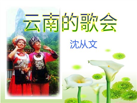 《云南的歌会》PPT课件3