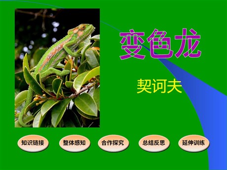 《变色龙》PPT课件下载