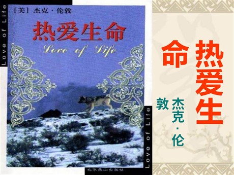 《热爱生命》PPT课件3