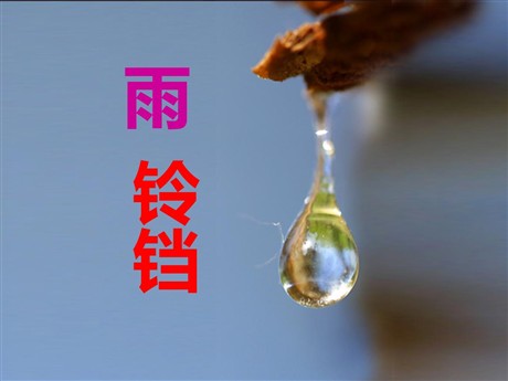 《雨铃铛》PPT课件3