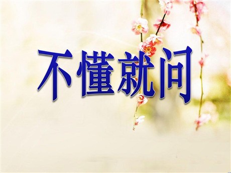 《不懂就问》PPT课件