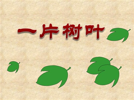 《一片树叶》PPT课件