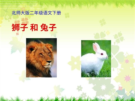 《狮子和兔子》PPT课件2