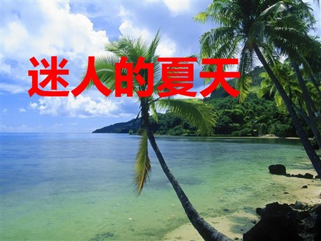 《迷人的夏天》PPT课件2