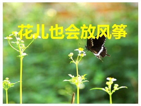 《花儿也会放风筝》PPT课件
