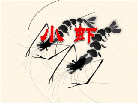 《小虾》PPT课件2