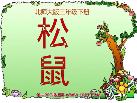 《松鼠》PPT课件